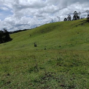 GRANDIOSO LOTE EN EL CARMEN DE VIBORAL $39.168.000.000